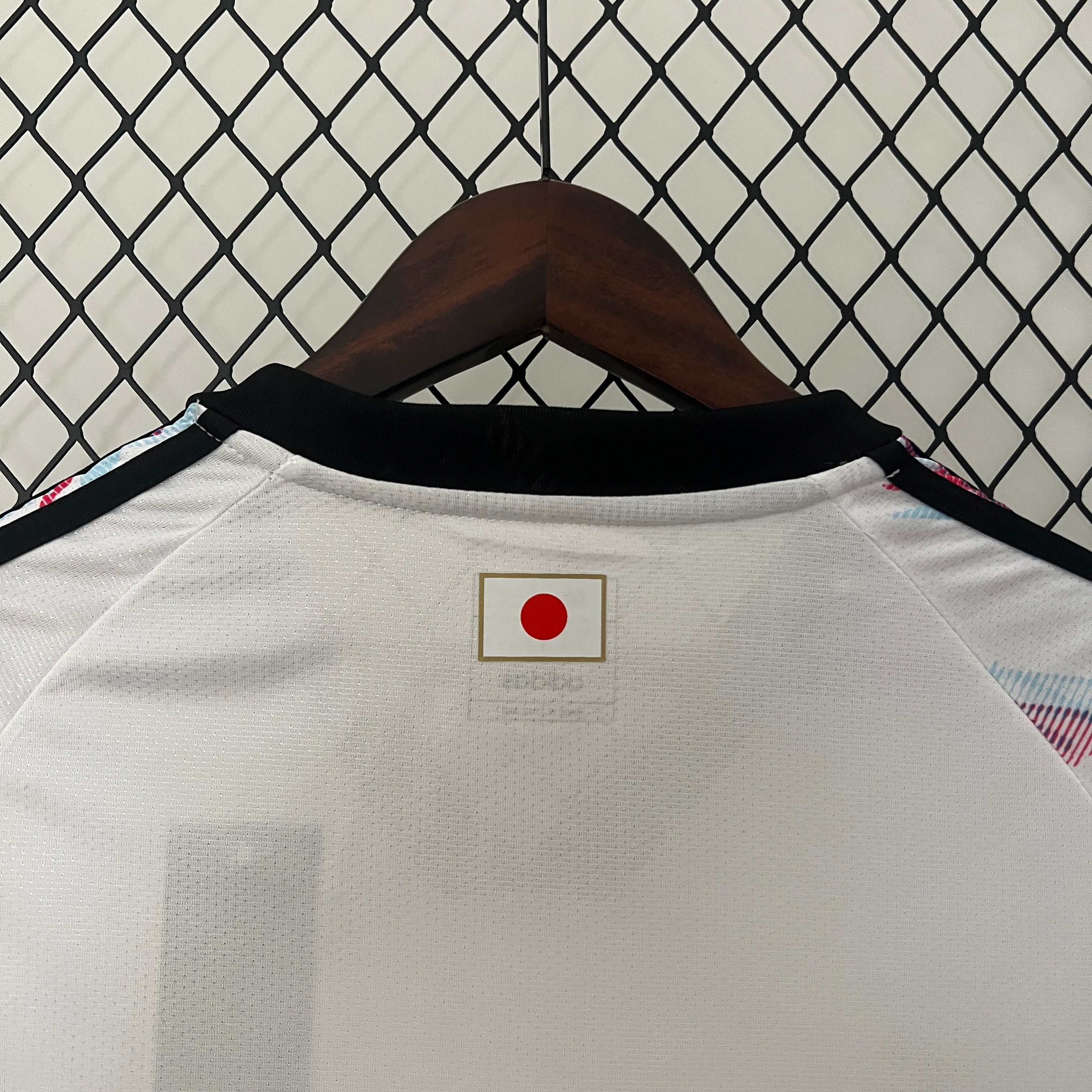 MAILLOT JAPON CONCEPT ZORO 2024